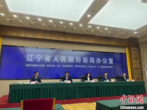 遼寧擘畫縣域經濟新藍圖 2025年綜合實力與發(fā)展活力躍升，經濟信息咨詢賦能關鍵路徑